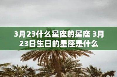 1981年12月8日晚上23-24点出生性格、运势和命运