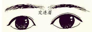 有连心眉的人命运好不好 连心眉好吗