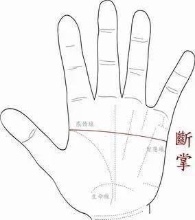 智慧线从中间分为2条是什么意思
