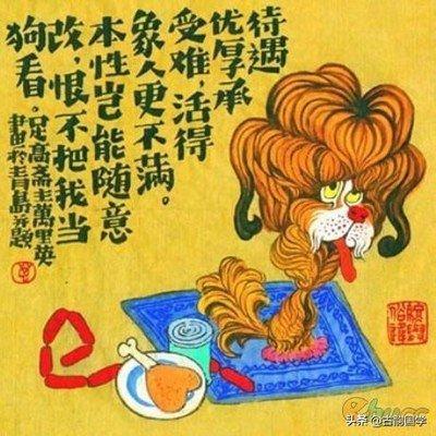 最聪明能做大事的生肖 看看有没有你