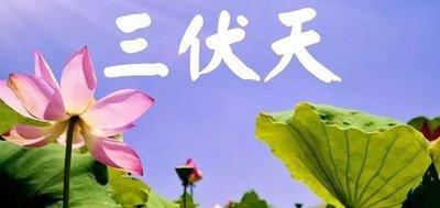 2025年大暑是什么时候 2025大暑节气是哪天