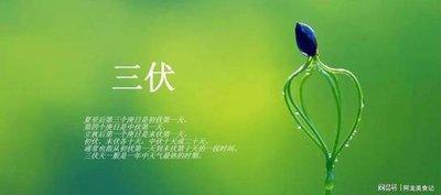 2025年大暑是什么时候 2025大暑节气是哪天