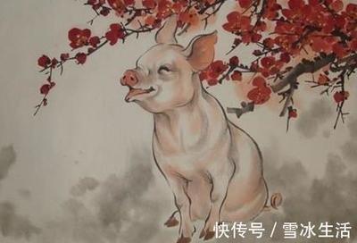 最能创业成功的生肖  天生就是经商的料