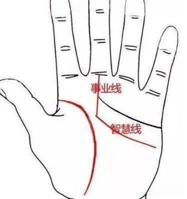 智慧线深明而长的手相图解代表什么
