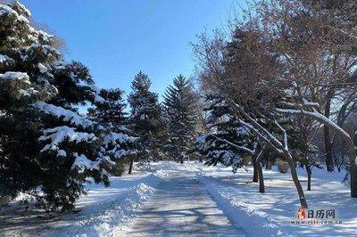 2025年大雪是什么时候 2025大雪节气是哪天