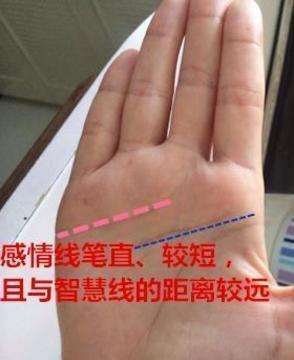 智慧线短的男生性格和运势好吗怎么说