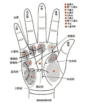 教你学会怎样看手相 手相看法详细图解