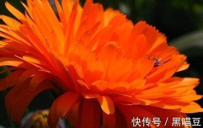 早上5点是什么时辰 这个时辰的人命运好不好