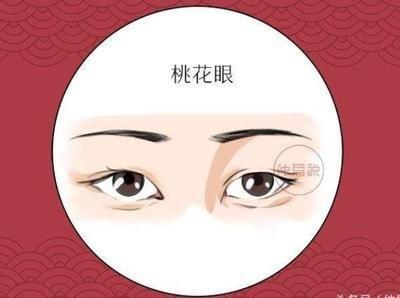 桃花眼的面相解析 长有桃花眼的人运势如何