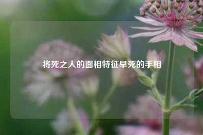 早死的面相特征有哪些 注定命运不好