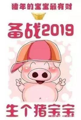 2025年几月出生的宝宝好 属猪的人运势如何