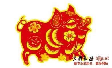 2025年几月出生的宝宝好 属猪的人运势如何
