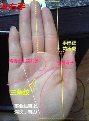 教你怎么看好偏财 手相的特征有哪些