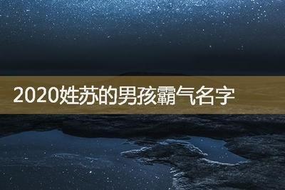 姓名分析：名字的重要性及其意义是什么