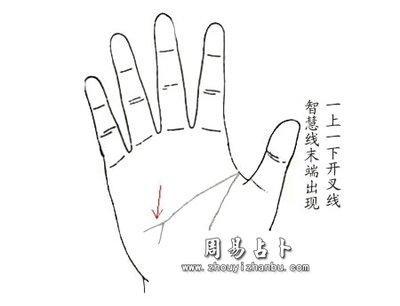 最详细的智慧线图解 手中智慧线有哪些含义