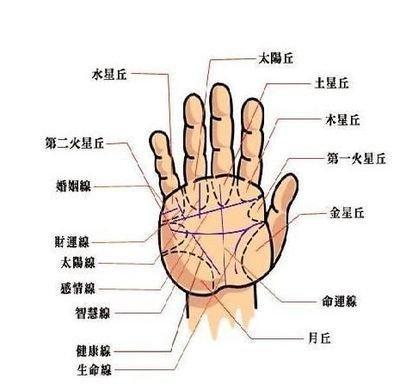 最详细的智慧线图解 手中智慧线有哪些含义