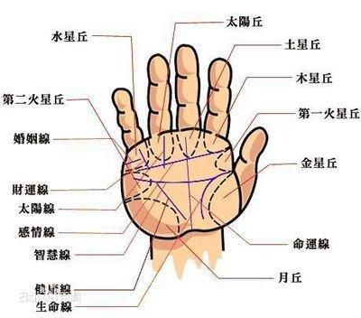 最详细的生命线手相分析 如何看生命线