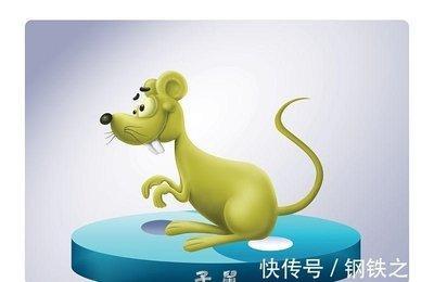 时来运转 属鼠人在什么年份中有好运
