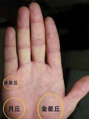 桃花运旺盛的手相异性缘好人人都喜欢