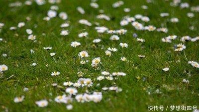 最辛苦的生肖 一生命运都不好的生肖是什么