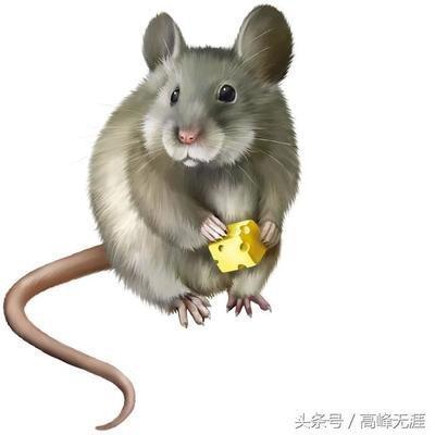 最近好倒霉怎么转运，倒霉的人怎么转运