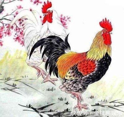 旺鸡的生肖是什么 哪几个生肖是属鸡人的贵人