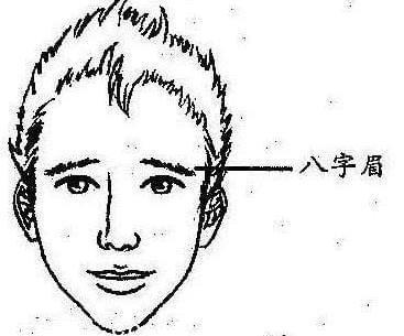 有八字眉面相的人好不好 长有八字眉是什么意思