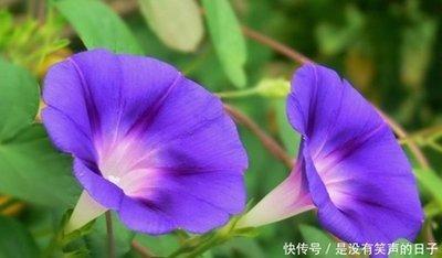 未来七天财运旺盛 事业一路畅通 财富越积越多的生肖