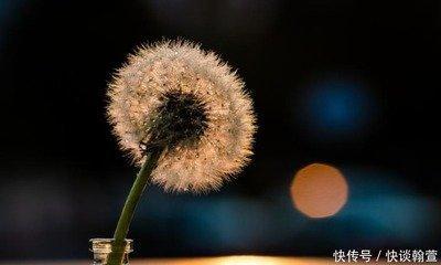 未来三年内收入高 大概率获得偏财好运的三大生肖