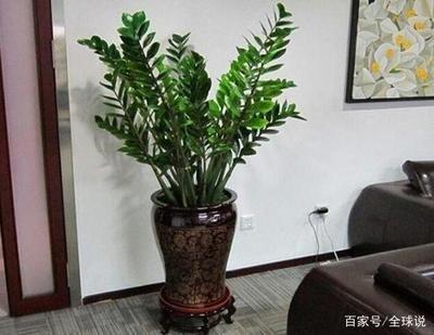 办公室风水布局怎么可以旺财 聚财的办公室风水