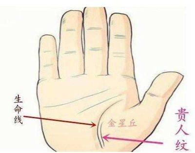 易发大财的手相有什么特征 手相如何的人会发财