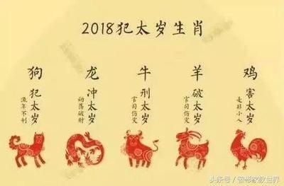 2025年刑太岁的生肖，对运势有什么影响