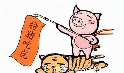 杀伐决断却又坚定隐忍的生肖有哪些性格