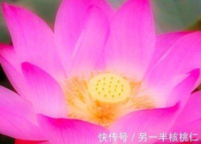 2025年十二月贵人运事业顺畅的生肖