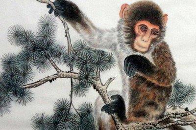 李居明属猴人2025年运势及运程