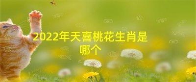 2025年可遇真爱的生肖 桃花运大增