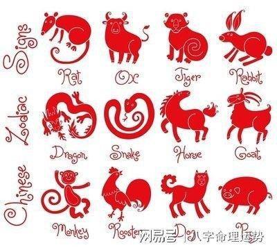 2025年各生肖运程，2025年各生肖运势如何