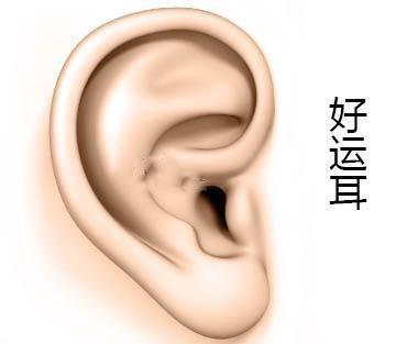 来看面相耳朵形状图解大全（下篇）