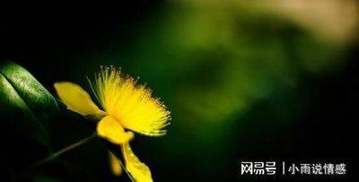 2025年哪个属相财运最好收入能翻倍 今年特有钱