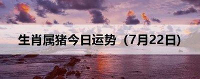 2025年四月事业运势最好的生肖