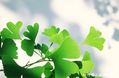 2025年因为健康运势不佳 这几个生肖最容易生病