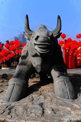 2025年因为健康运势不佳 这几个生肖最容易生病