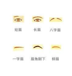 柳叶眉的人面相 柳叶眉的人命运好不好