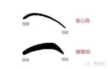 柳叶眉的人面相 柳叶眉的人命运好不好