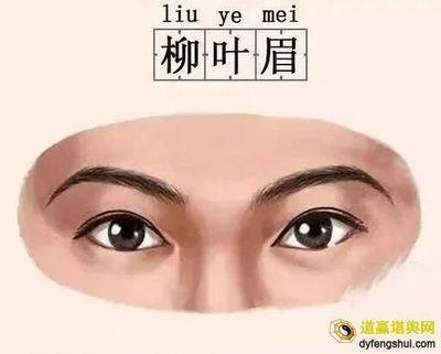 柳叶眉的女人命运解析 柳叶眉的女人命好吗