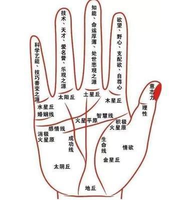 有此手相的人命里将会有一大笔横财可暴富