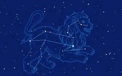 星宿老师2025年狮子座运势精华版 星宿老师2025年狮子座运势精华版