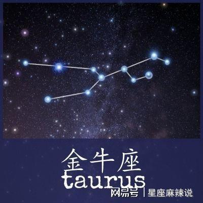星宿老师2025年金牛座运势精华版