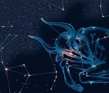 星宿老师2025年金牛座运势精华版