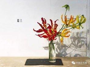 最新花店名字大全 怎么给花店起名字